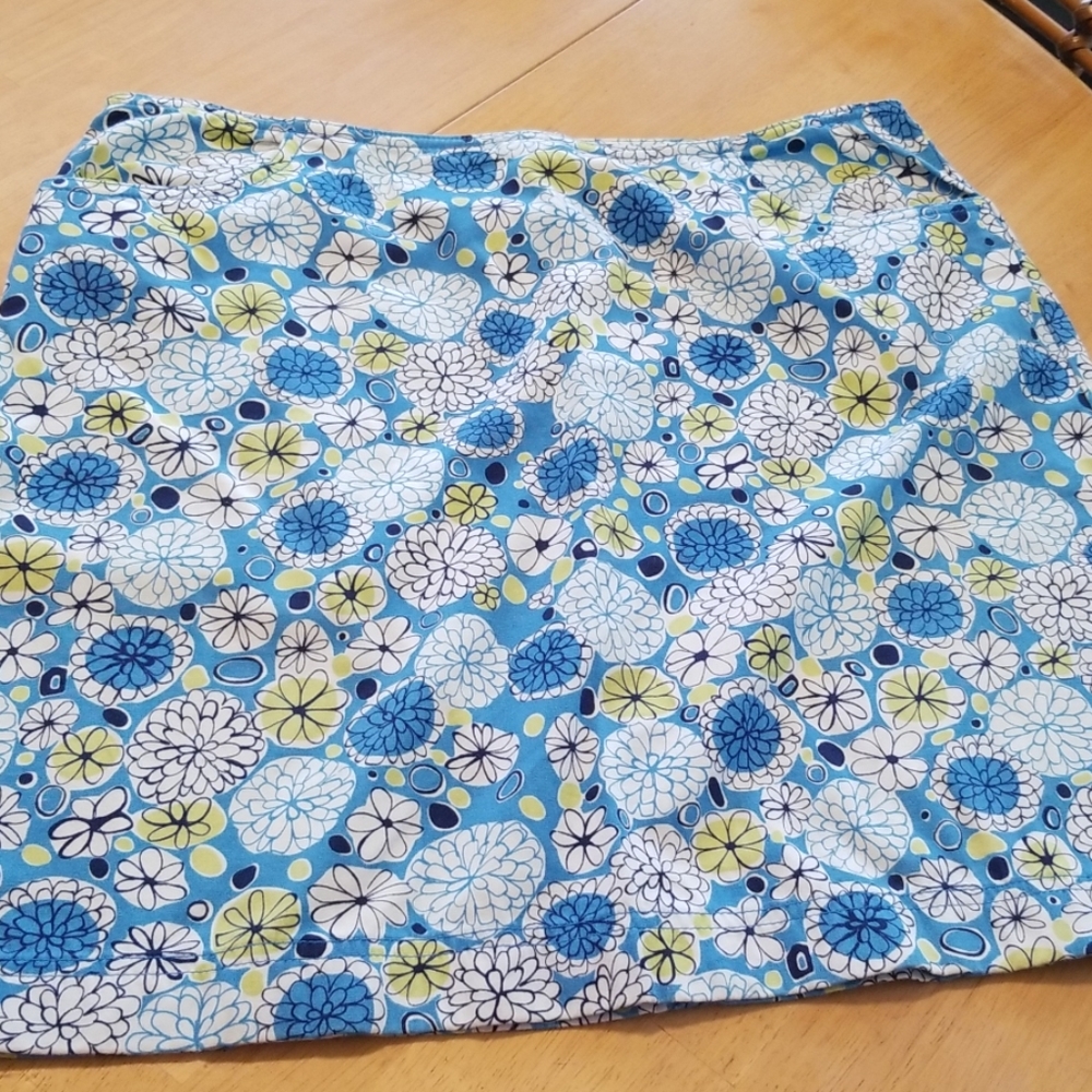 Ann Taylor Skirt